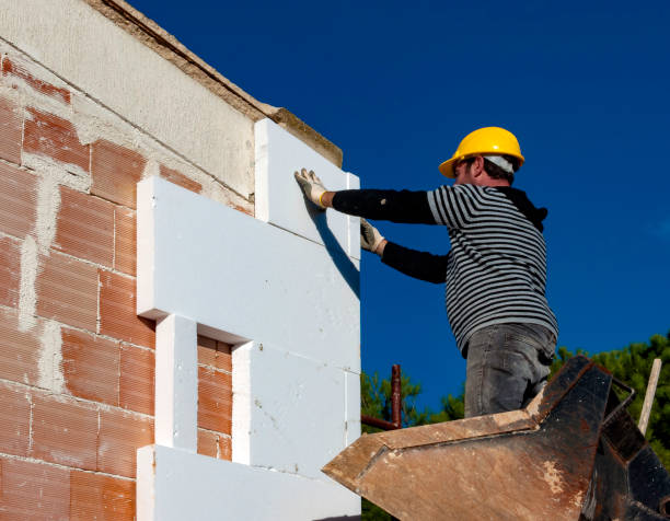 Best Spray Foam Insulation in Dexter, GA