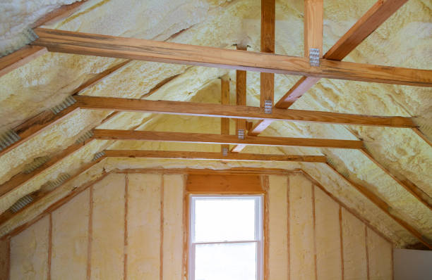 Best Specialized Insulation Services in Dexter, GA