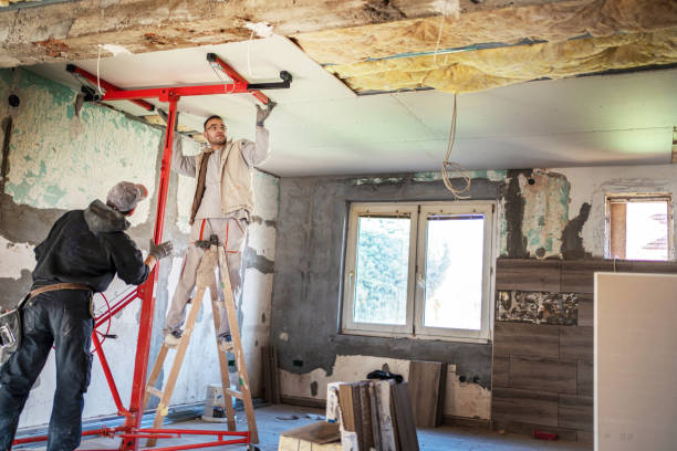 Best Insulation Maintenance and Repair in Dexter, GA