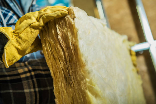 Best DIY Insulation Kits and Guidance in Dexter, GA
