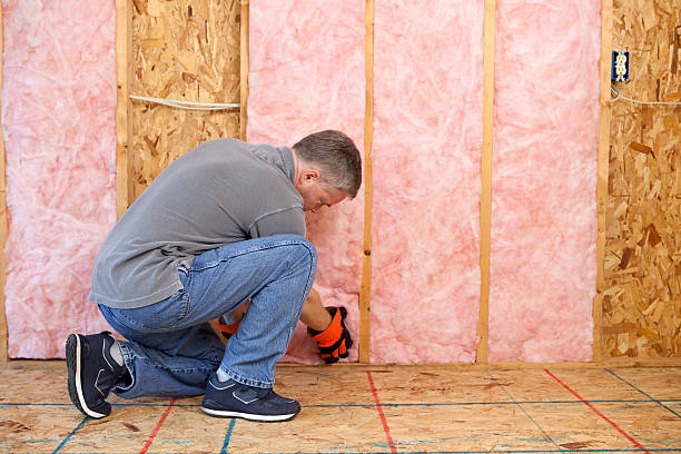 Types of Insulation We Offer in Dexter, GA
