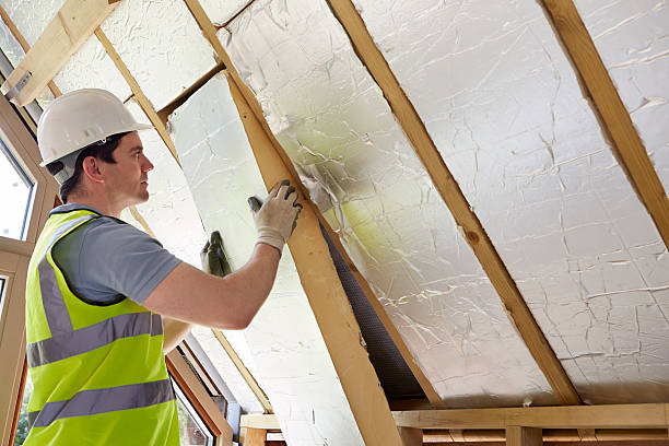 Best Eco-Friendly Insulation in Dexter, GA