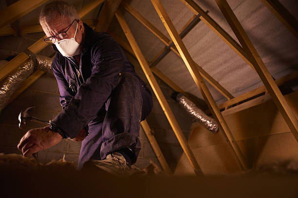 Best Fiberglass Insulation in Dexter, GA